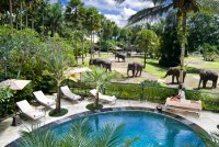 エレファント･サファリ･パーク･ロッジ Elephant Safari Park Lodge