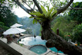 ウブド デダリ ヴィラス Ubud Dedari Villas - Ubud - Bali Hotels Bali Villas