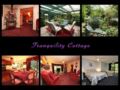 Aroma and Tranquility B & B Cottages ホテルの詳細