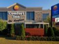 Comfort Inn On Raglan ホテルの詳細