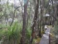 Southwest Wilderness Camp Tasmania ホテルの詳細