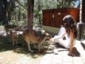 Yelverton Brook Wildlife Farmstay and Eco Spa ホテルの詳細