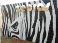 Zebras Guest House ホテルの詳細