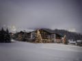 Hotel Almhof Schneider ホテルの詳細