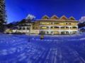 Hotel Alpen Residence ホテルの詳細