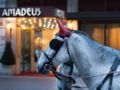 Hotel Amadeus ホテルの詳細