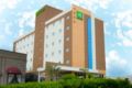 Ibis Styles Sao Jose do Rio Preto ホテルの詳細