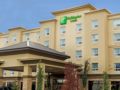 Holiday Inn Hotel & Suites-West Edmonton ホテルの詳細