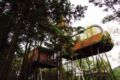 ZYJ Treehouse Land Huangshan Qiyun ホテルの詳細