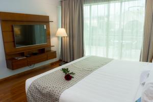 Aparta Hotel Torres de Suites ホテルの詳細