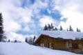 Chalet Alvine Megeve ホテルの詳細