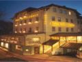 Alpenhotel Wittelsbach ホテルの詳細