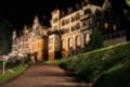 Hotel Palmenwald Schwarzwaldhof ホテルの詳細