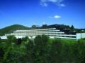 Sauerland Stern Hotel ホテルの詳細