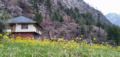 Bushman cottage choj_kasol ホテルの詳細