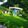 Forest Inn Homestay ホテルの詳細