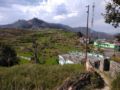 Himalayan view jungle paradise ホテルの詳細