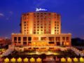 Radisson Blu Hotel New Delhi Dwarka ホテルの詳細
