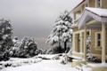 Tree of Life Grand Oak Manor, Binsar Wildlife Sanctuary ホテルの詳細