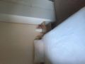 Dublin private rooms,close to center,meal parking ホテルの詳細