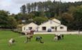 Muckross Riding Stables ホテルの詳細