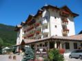 Corona Dolomites Hotel ホテルの詳細