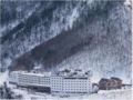 Hotel Taisetsu ホテルの詳細