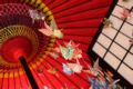 Saga Arashiyama GUESTHOUSE Rinn Nomiya God ホテルの詳細