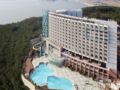 Youngjong Sky Resort ホテルの詳細