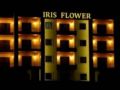 Iris Flower Hotel ホテルの詳細