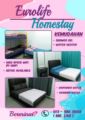 Eurolife Homestay ホテルの詳細