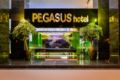 Pegasus Hotel ホテルの詳細