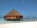 Meeru Island Resort & Spa ホテルの詳細