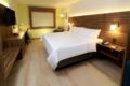Holiday Inn Express And Suites Playa Del Carmen ホテルの詳細