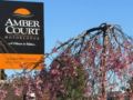 Amber Court Motel ホテルの詳細