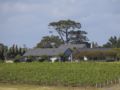 Takatu Lodge & Vineyard Matakana ホテルの詳細