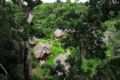 Tambopata Ecolodge ホテルの詳細