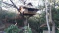 Romantic Tree house at Pirates Diving Resort Coron ホテルの詳細