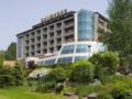 Hotel Belweder ホテルの詳細