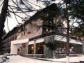 Ana Hotels Bradul Poiana Brasov ホテルの詳細