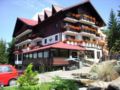 Drachenhaus Poiana Brasov ホテルの詳細