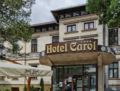Hotel Carol - Vatra Dornei ホテルの詳細