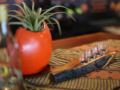 Bartnique Guesthouse ホテルの詳細