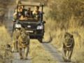 Morokolo Safari Lodge ホテルの詳細