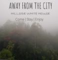 Hillside White House ホテルの詳細