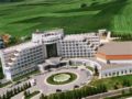 Buyuk Anadolu Thermal Hotel ホテルの詳細