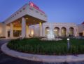 Hilton Garden Inn Mardin ホテルの詳細