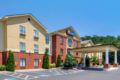 Comfort Inn & Suites ホテルの詳細