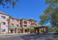 Courtyard Tampa North/I-75 Fletcher ホテルの詳細