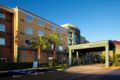 Courtyard Tampa Oldsmar ホテルの詳細